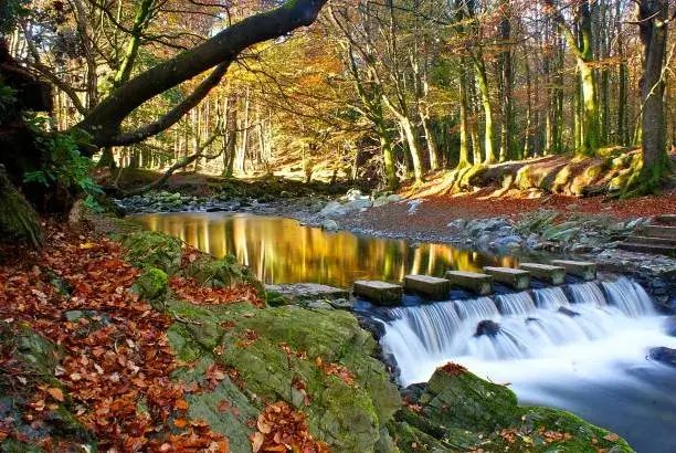 Long term therapy session - steps across a river
